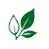 icon____.webp
